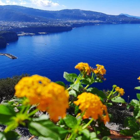 维克艾库塞Bella Vista House-Sorrento Coast - Free Parking-Solarium公寓 外观 照片