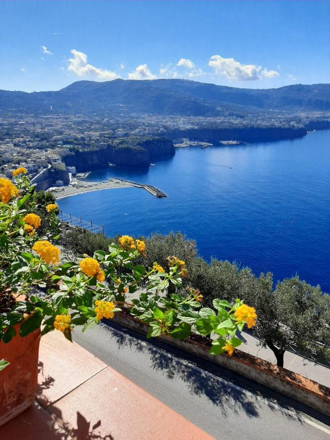 维克艾库塞Bella Vista House-Sorrento Coast - Free Parking-Solarium公寓 外观 照片