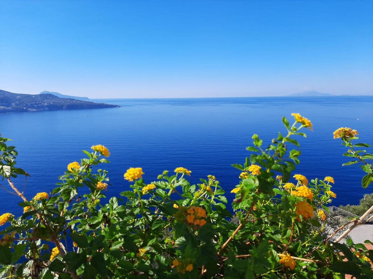 维克艾库塞Bella Vista House-Sorrento Coast - Free Parking-Solarium公寓 外观 照片