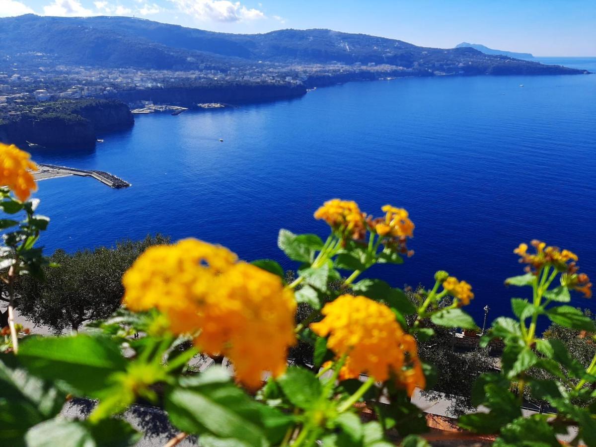 维克艾库塞Bella Vista House-Sorrento Coast - Free Parking-Solarium公寓 外观 照片