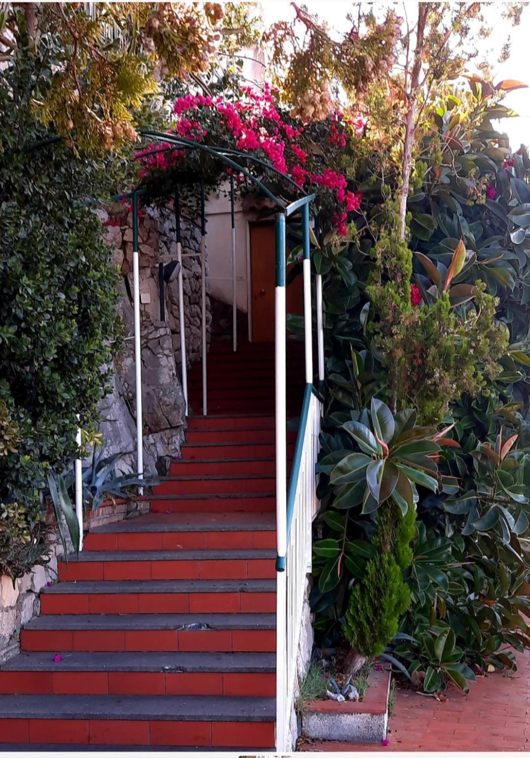 维克艾库塞Bella Vista House-Sorrento Coast - Free Parking-Solarium公寓 外观 照片